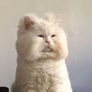 Meet your Posher, Melinda